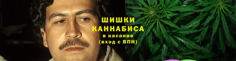 Каннабис Bruce Banner  мега зеркало  Райчихинск 